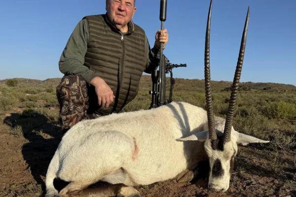 Arabian Oryx Arabian Oryx